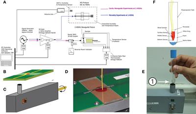 Microwaves can kill malaria parasites non-thermally